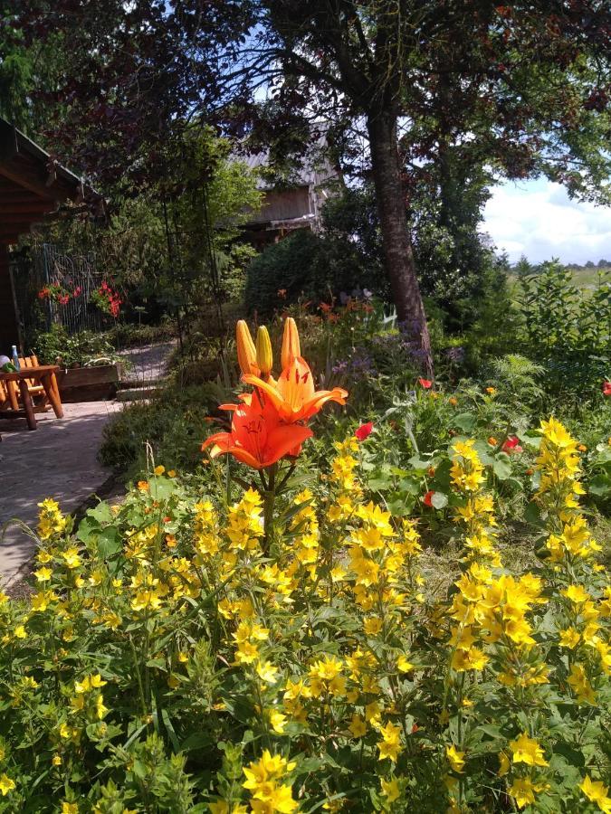 Chalet Le Paradou Adults Only Lessive Bagian luar foto