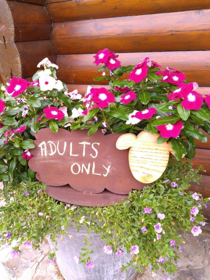 Chalet Le Paradou Adults Only Lessive Bagian luar foto